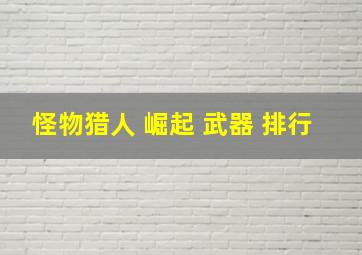 怪物猎人 崛起 武器 排行